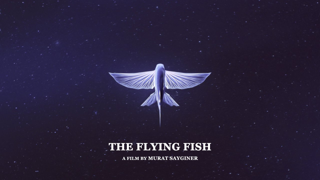 The Flying Fish (trailer)