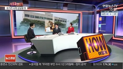 [사건큐브] 두 눈 파인 유기견 발견…견주 "타인이 학대"