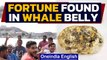 Yemen: Fishermen find fortune in whale's belly, changes their lives overnight | Oneindia News