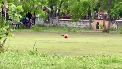 Top cambazı karga şaşırttı