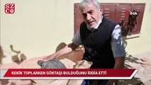 Kekik toplarken göktaşı bulduğunu iddia etti