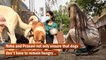 J&K: These Udhampur girls have been feeding stray dogs for over a year now