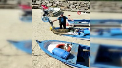 Deniz salyası ağları duman etti