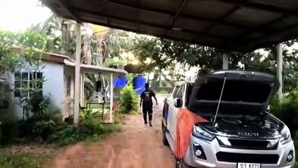 กระบี่-สาวลูกอ่อนผงะ จ๊ะเอ๋งูจงอาง ก่อนวิ่งบอกญาติแจ้งกู้ภัยช่วย