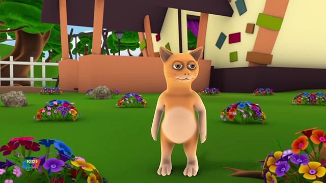 Roz Savere Uthna Achha Hota Hai Machali Jal Ki Rani Hai Billi Mausi Main Tota Main Tota