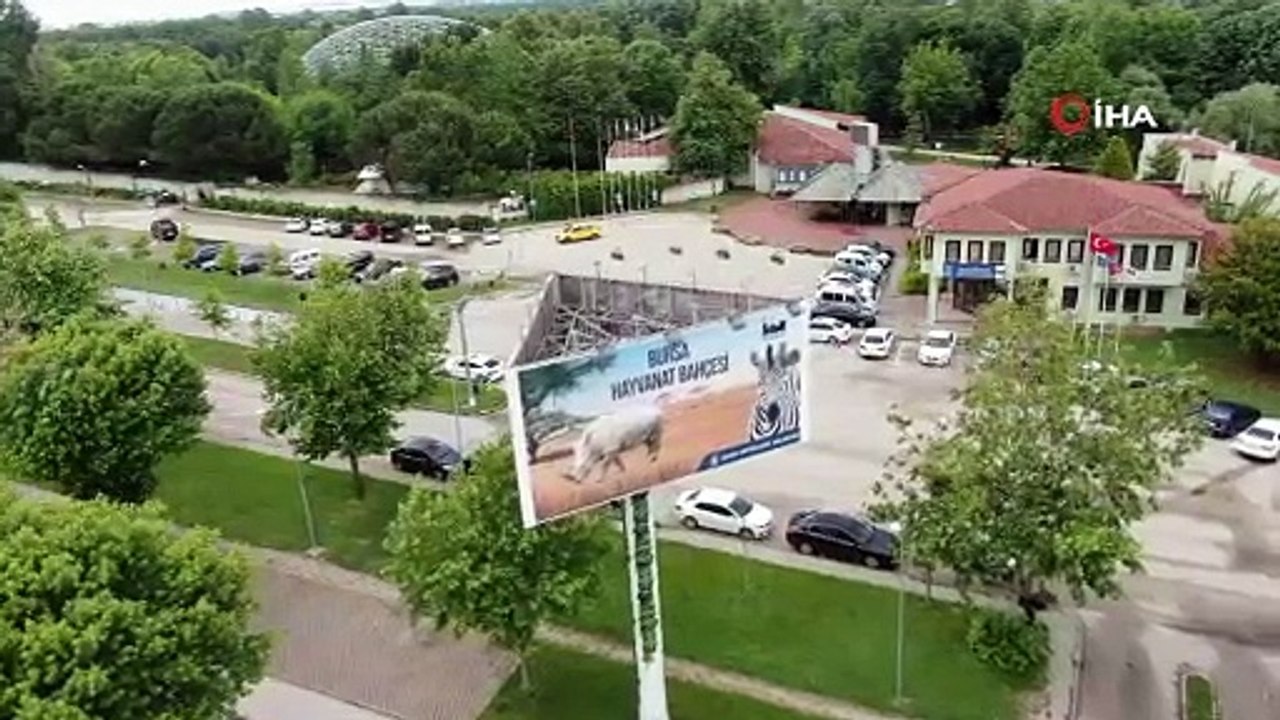 Yeni normalleşmeyle Bursa Hayvanat Bahçesi kapılarını açtı