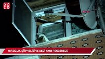 Hırsız ve evin kedisi aynı pencerede mahsur kaldı