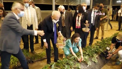 CHP lideri Kemal Kılıçdaroğlu'nun da katılımıyla Efes Tarlası Yaşam Köyü açıldı