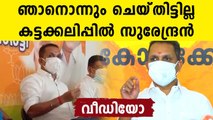 K Surendran Talks about the BJP Kerala controversy