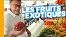 A la Découverte de 8 FRUITS EXOTIQUES Sur un Marché d'Asie  Tout Savoir Sur