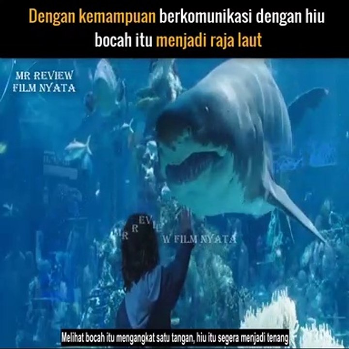Dengan kemampuan berkomunikasi dengan hiu, bocah itu menjadi raja laut