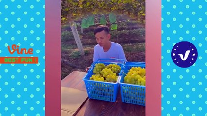 #19 AWW Best FUNNY Videos 2021  TOP People doing stupid things