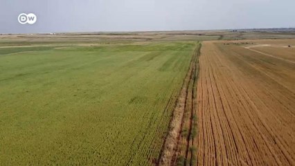 Kuraklık: Tarım alarm veriyor