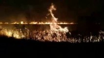 Bolivia, en alerta por los incendios en sus humedales más preciados