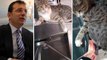 İstanbullulara metroda kedi engeli! Sosyal medyada gündem olan videoya İmamoğlu da kayıtsız kalmadı