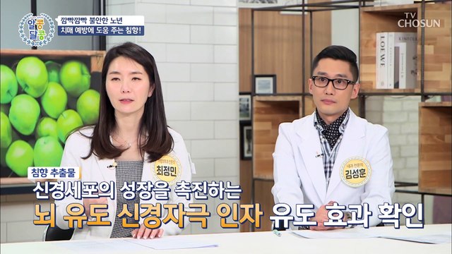 걱정되는 노년 뇌졸중 예방+치매에 도움 주는 ✦침향✧ TV CHOSUN 20210602 방송