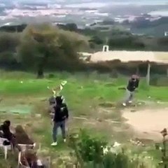 Köpek havada asılı kaldı