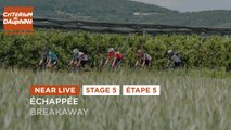 #Dauphiné 2021- Étape 5 / Stage 5 - Echappée / Breakaway