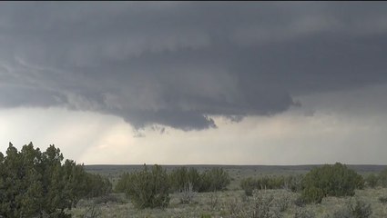 How COVID-19 affected student storm chasing