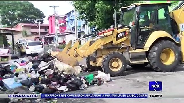 Las hormiguitas retornan a sus labores - Nex Noticias