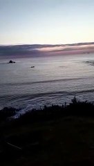 Pesca de cerco em Imbituba captura quase 2 mil tainhas no feriado