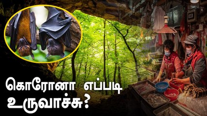 மீண்டும் கிளம்பிய Wuhan lab சர்ச்சை.. Coronavirus-ன் தொடக்கம் எது ?
