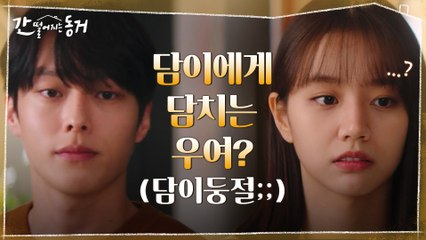 온도차 무엇ㅠㅠ 이혜리에게 정 주지 않으려 하루아침에 돌변한 장기용