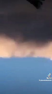 Makedonski dunek, macedonian donek, pacali donek, pigeon, pet, animal, guvercin