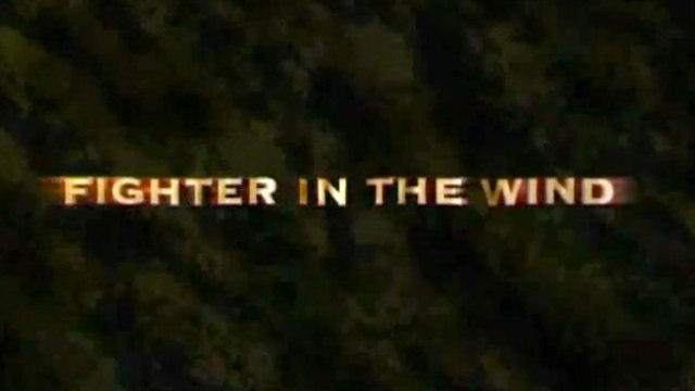 Fighter in the Wind (2004) Streaming français