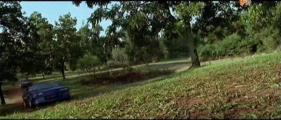 Black Dog (1998)