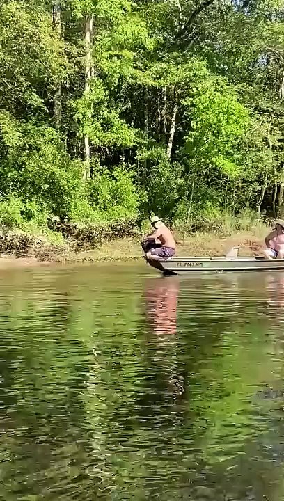 Ils tentent d'attraper un nid de frelon avec un sac poubelle...