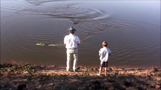 Un alligator vient manger le bateau télécommandé d'un enfant