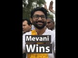 Dalit Leader Jignesh Mevani Wins in Gujarat’s Vadgam Seat