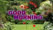 Good morning shayari video | गुड मॉर्निंग शायरी | good morning status | Good morning wishes | Good morning video |Photos|Good morning video Wallpaper