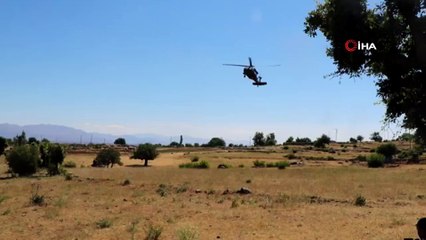 Diyarbakır’da 7 milyon 233 bin kök kenevir ele geçirildi