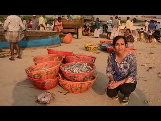 Gulf of Mannar: Trouble in Paradise – Part III