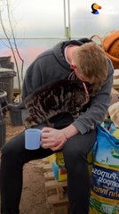 Cat Loves To Hug Her Dad