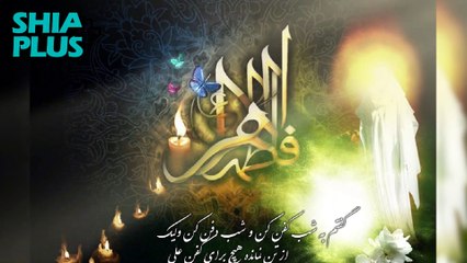 هزار و یک داستان از زندگی امام علی ع