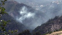 KAHRAMANMARAŞ - Orman yangınında 2 hektar alan zarar gördü