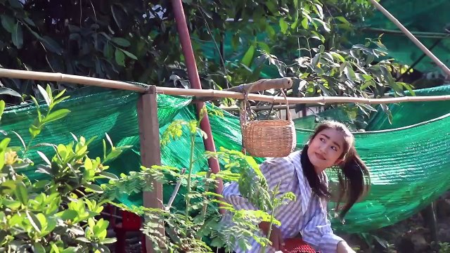 Jambolam Plum or Java Plum Recipe / Jambolan Plum Juice / Prepare by Sreypov