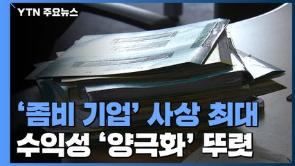 퇴출 위기 '좀비 기업' 사상 최대...수익성은 '양극화' / YTN