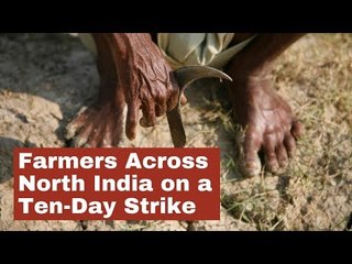 Farmers Across North India on a Ten-Day Strike