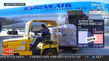 고용유지지원금 석 달 더…항공업계, 여전한 '한숨'