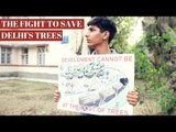 The Fight to Save Delhi's Trees