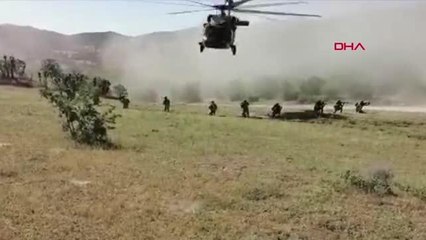 NARKO-TERÖR OPERASYONUN BİLANÇOSU: 7 MİLYON KÖK HİNT KENEVİRİ ELE GEÇİRİLDİ