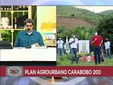 Venezuela pone en marcha el Plan Agrourbano Carabobo 200 para garantizar la soberanía alimentaria