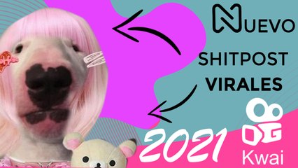 SHITPOSTING NIVEL: DIOS 999% IMPOSIBLE. LO MEJOR DE JUNIO 2021.