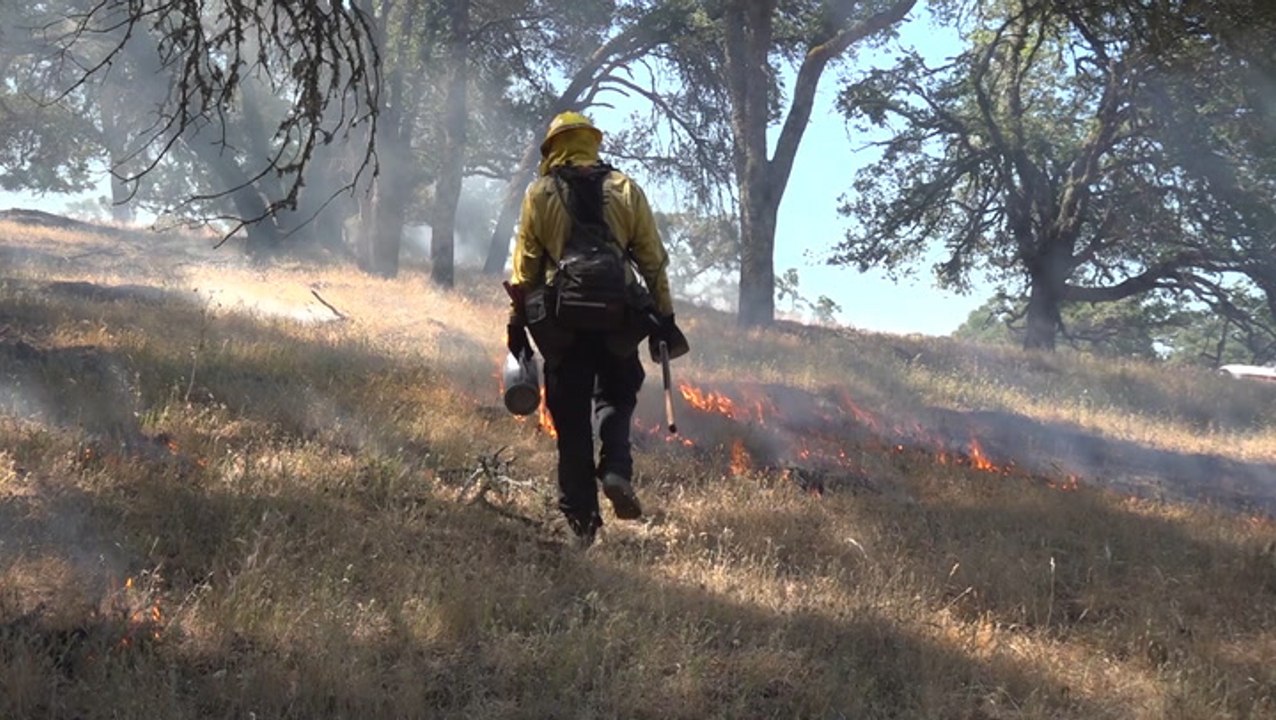 Crews fighting fire with fire amid West Coast d...