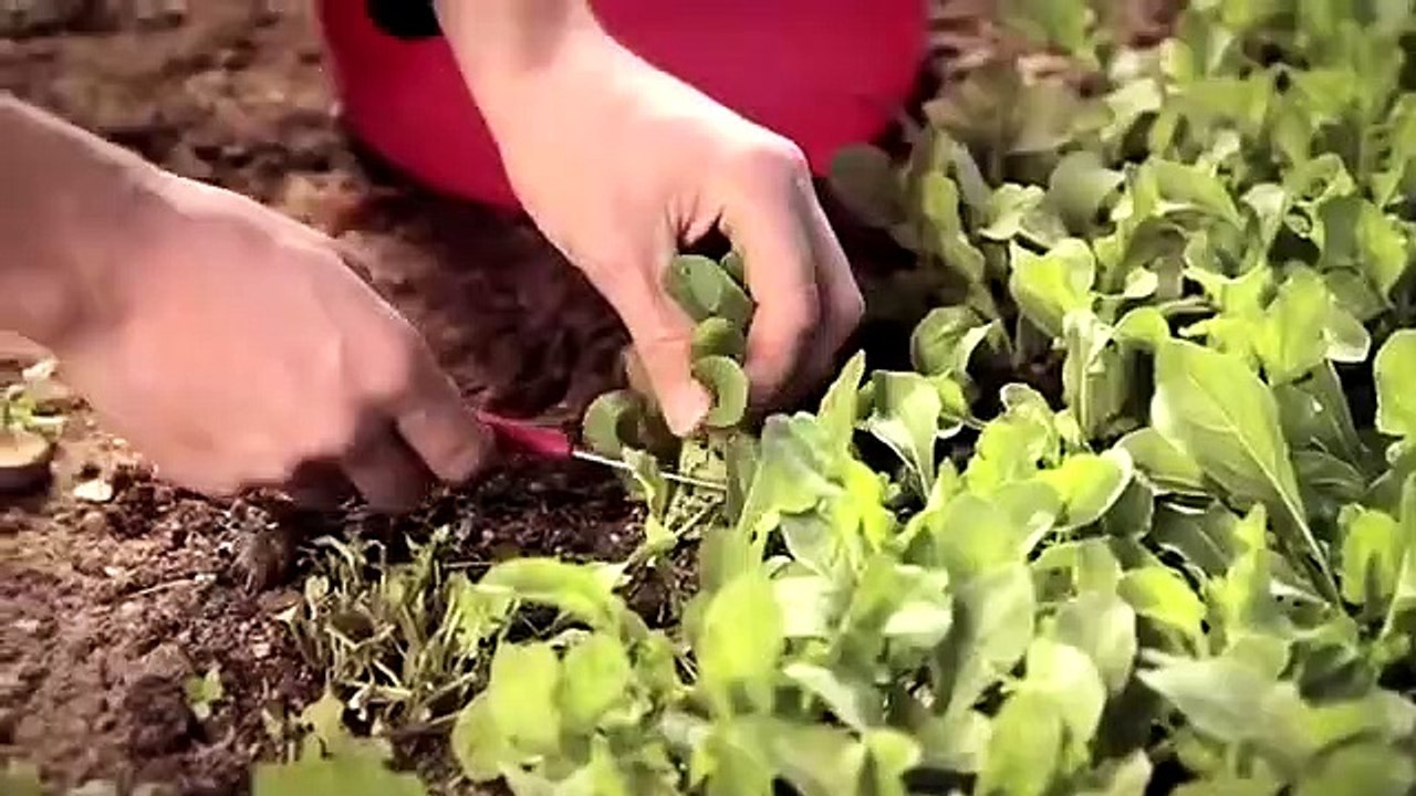 AMAZING INVENTIONS THAT ARE AMAZING