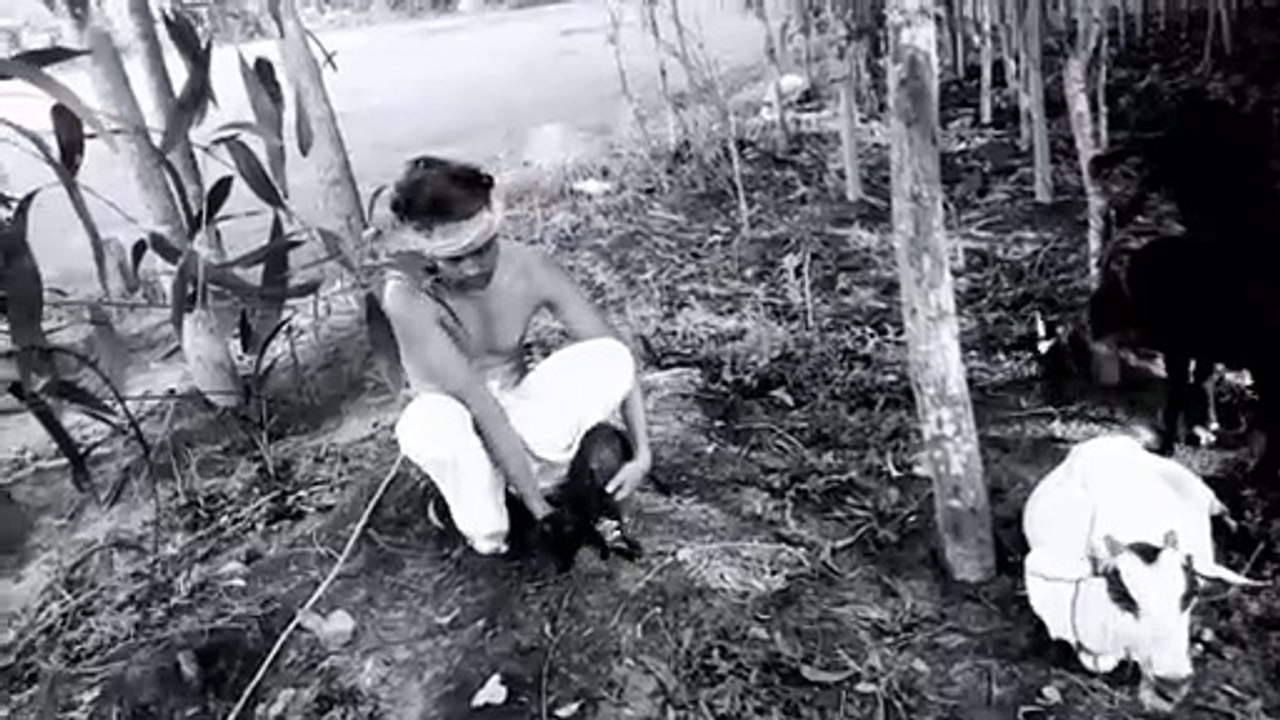 #The Man with Goat#Lockdown special working Man#film by RAJ,Man story which is gold worker Mumabi